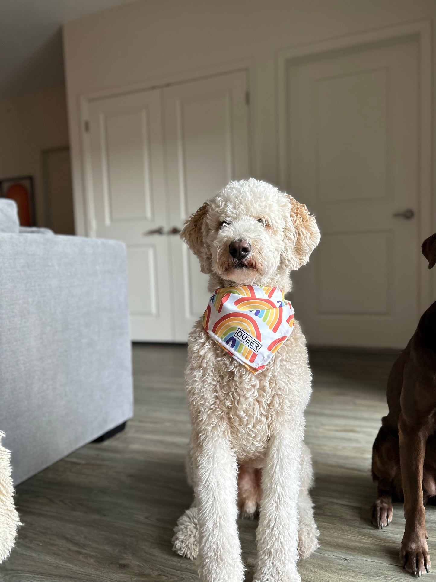 Rainbow Bandana