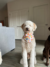 Load image into Gallery viewer, Rainbow Bandana