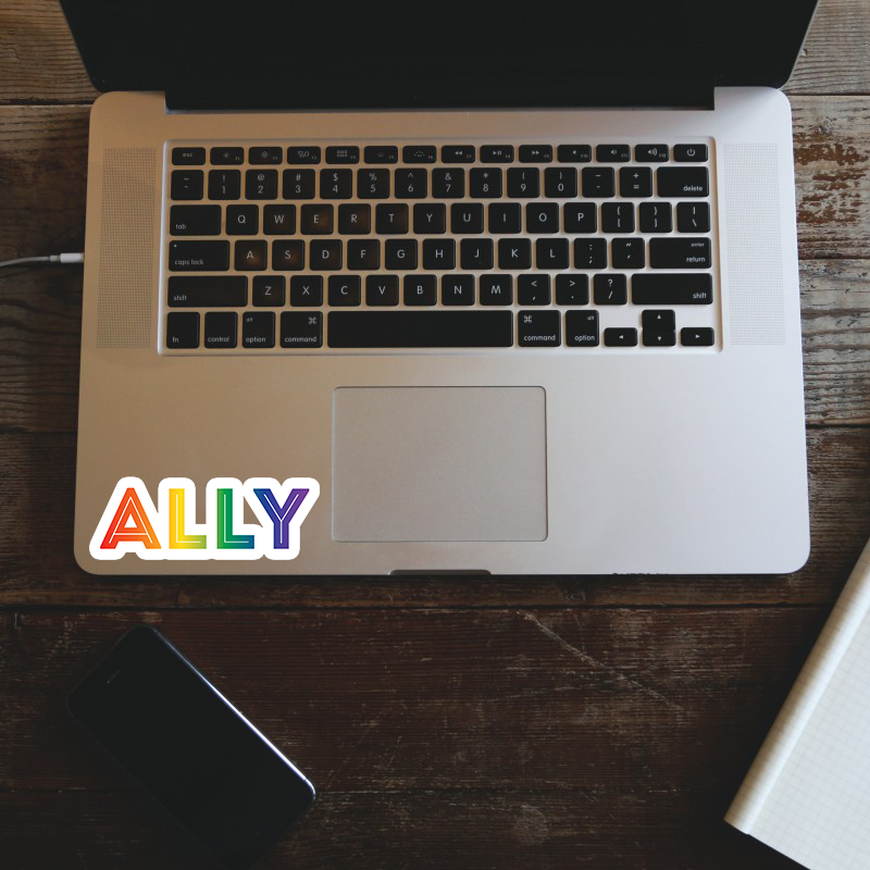 Ally Sticker