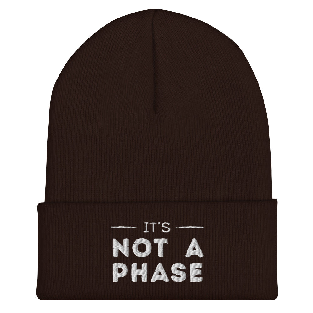 It's Not A Phase Beanie in brown, front view