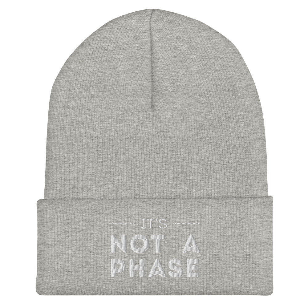 It's Not A Phase Beanie in heather grey, front view