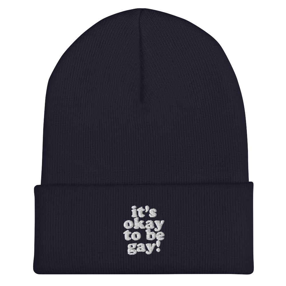 It's Okay To Be Gay Beanie in navy, front view