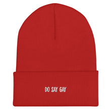 Load image into Gallery viewer, Do Say Gay Beanie