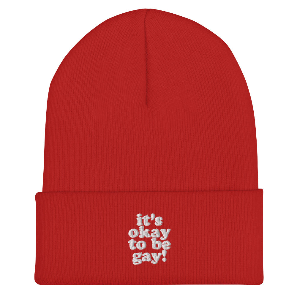 It's Okay To Be Gay Beanie in red, front view