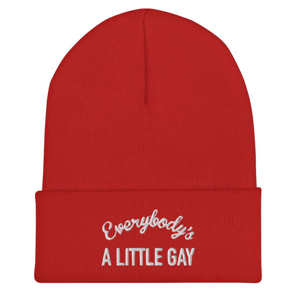 Everybody's A Little Gay Beanie in red, front view