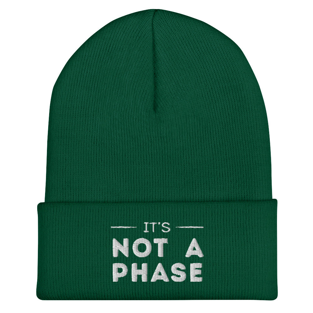 It's Not A Phase Beanie in spruce, front view