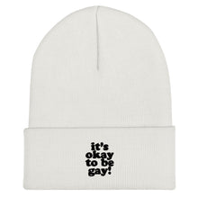 Load image into Gallery viewer, It's Okay To Be Gay Beanie