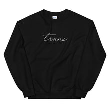 Load image into Gallery viewer, Subtle Trans Crewneck