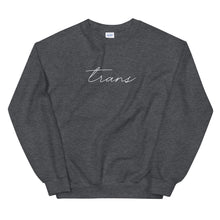 Load image into Gallery viewer, Subtle Trans Crewneck