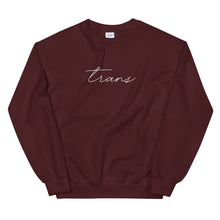 Load image into Gallery viewer, Subtle Trans Crewneck