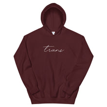 Load image into Gallery viewer, Subtle Trans Hoodie
