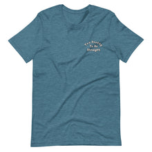 Load image into Gallery viewer, Too Pretty To Be Straight Embroidered (Filled) Tee