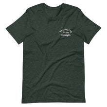 Load image into Gallery viewer, Too Pretty To Be Straight Embroidered (Filled) Tee