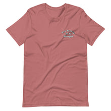 Load image into Gallery viewer, Too Pretty To Be Straight Embroidered (Filled) Tee