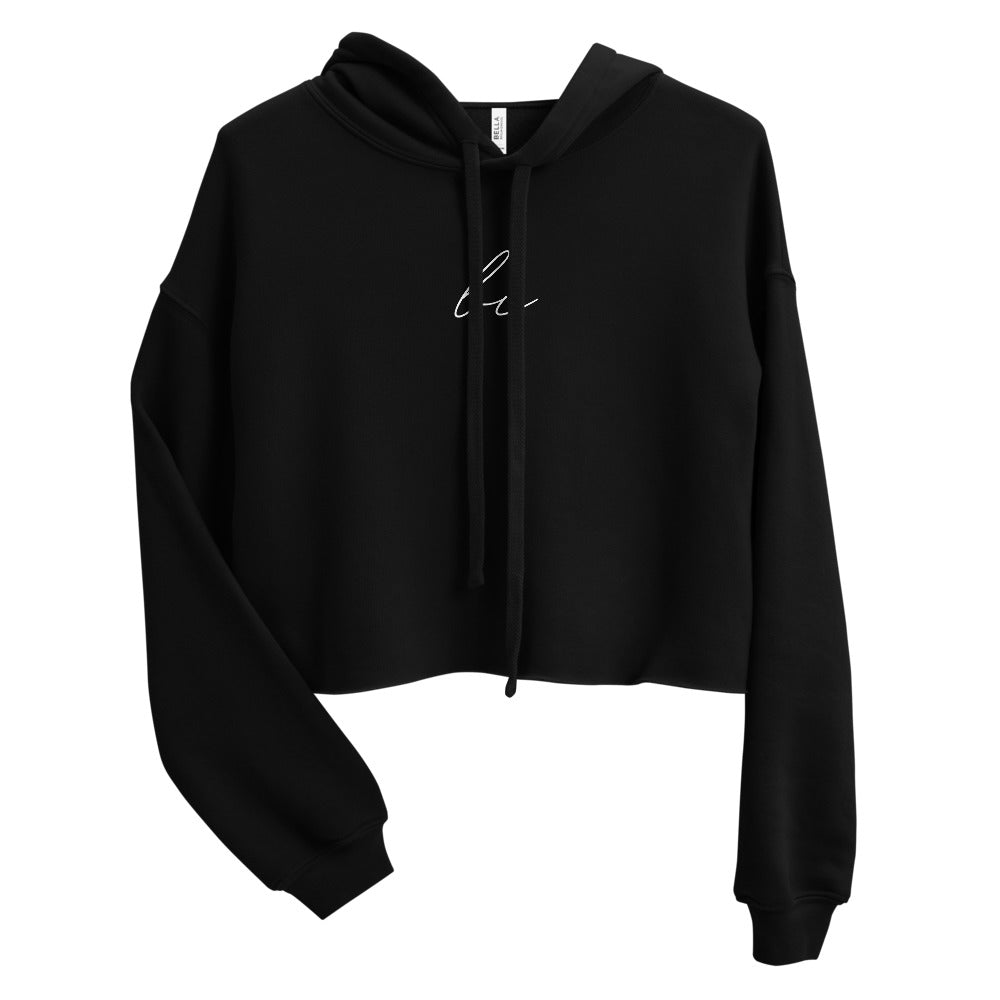 Subtle Bi Crop Hoodie