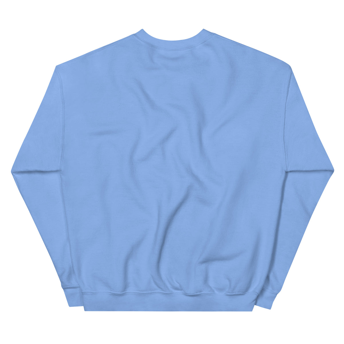 Second Date Moving Co. Crewneck Sweatshirt: We Bring the Dog in Carolina Blue, back view