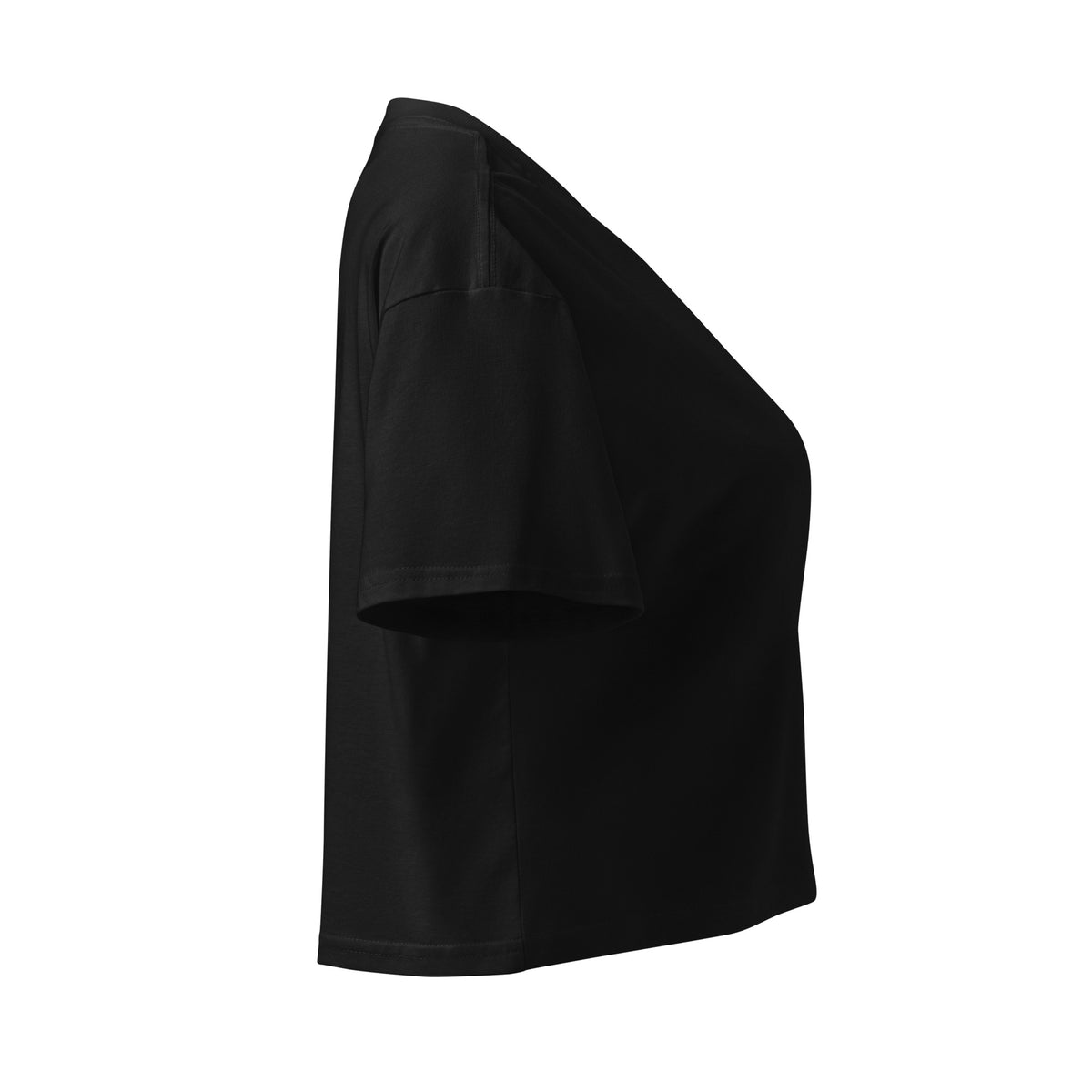 Subtle Queer Crop Tee in black, right view