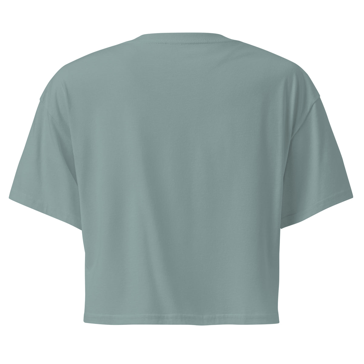 Subtle Queer Crop Tee in mineral, back view
