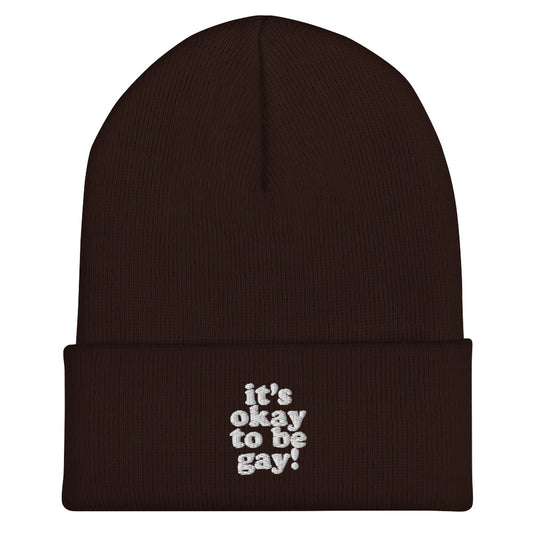 It's Okay To Be Gay Beanie