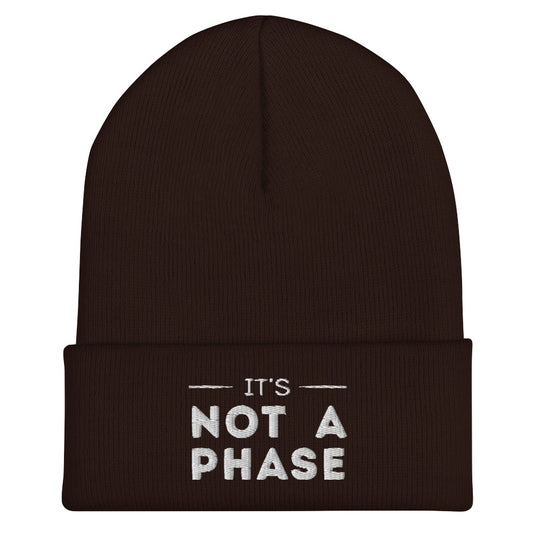 It's Not A Phase Beanie in brown, front view