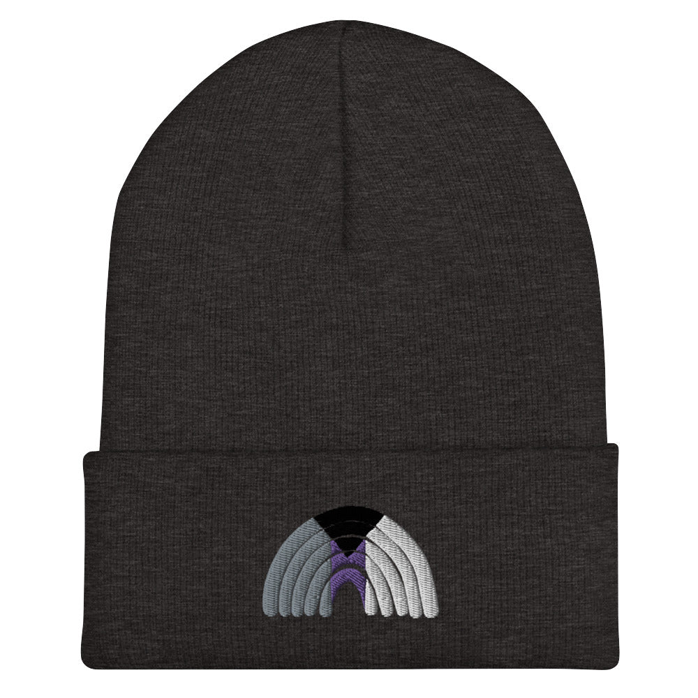Demi Rainbow Beanie