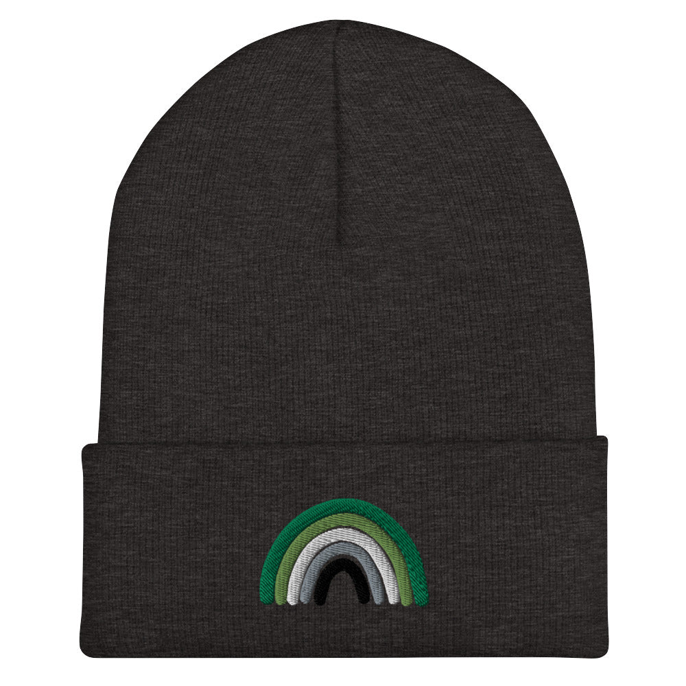 Aromantic Rainbow Beanie