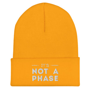 It's Not A Phase Beanie