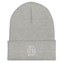 Load image into Gallery viewer, It&#39;s Okay To Be Gay Beanie
