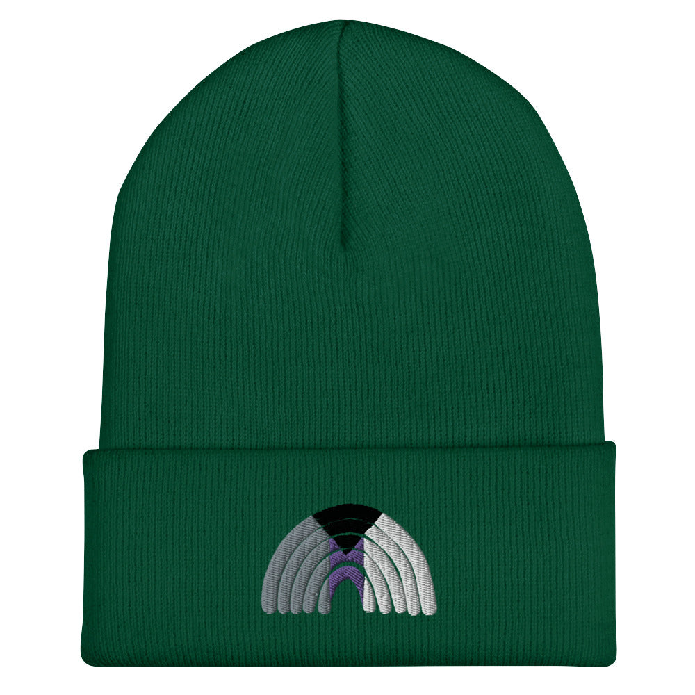 Demi Rainbow Beanie