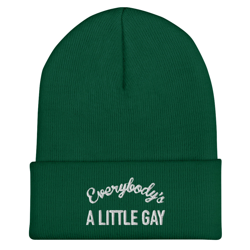Everybody's A Little Gay Beanie in spruce, front view