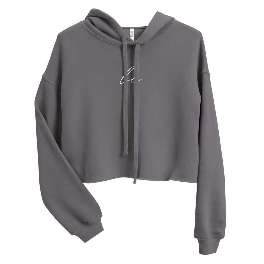Subtle Bi Crop Hoodie